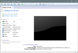 Figura 1: Iniciar la máquina virtual pulsando sobre "Power on this virtual machine" para comenzar la instalación de Debian 8