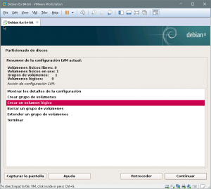 Figura 42: En este punto se nos muestra un resumen de la configuración LVM actual y seleccionamos la opción "Crear un volumen lógico"