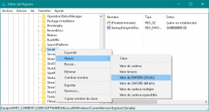 Añadir nuevo valor DWORD en el Registro de Windows