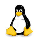 ¿Qué versión del Kernel de Linux estoy usando?