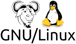 Linux inicia con el sistema de archivos en modo solo lectura (read-only file system)